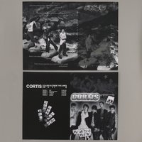 Cortis 黑