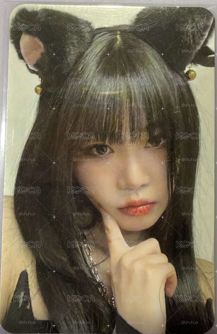 貓貓珍