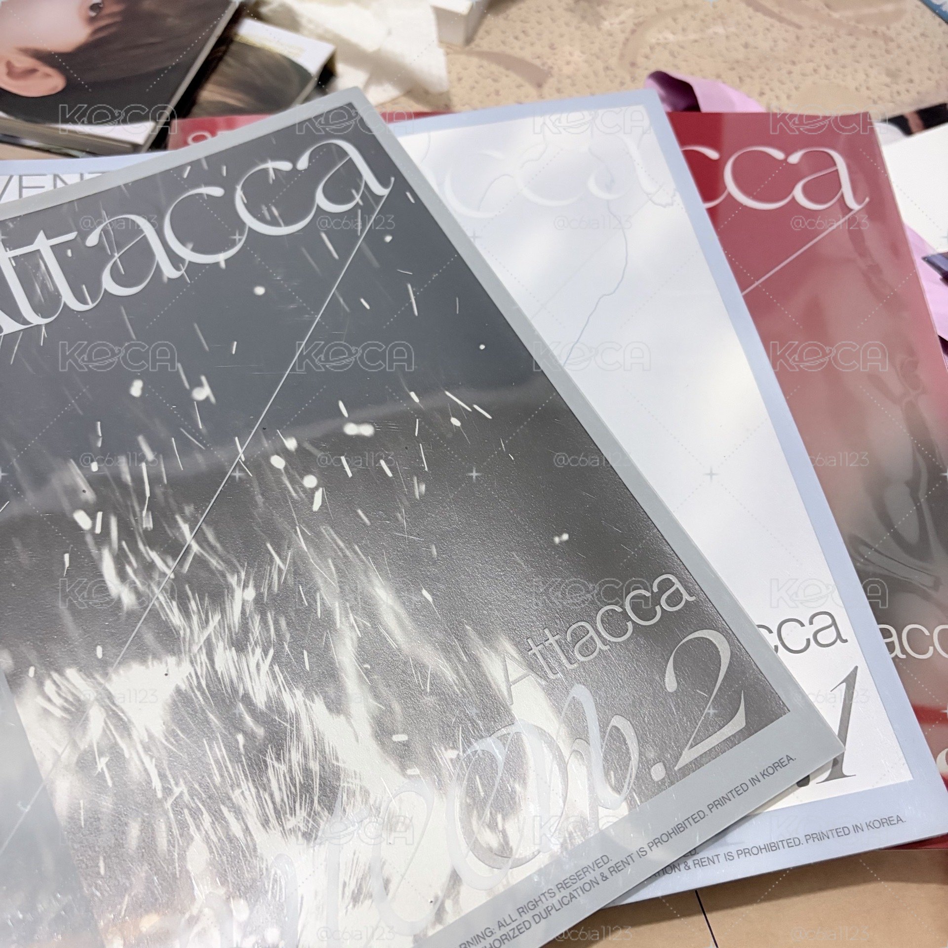 Seventeen attaca 迷九