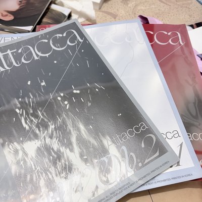 Seventeen attaca 迷九