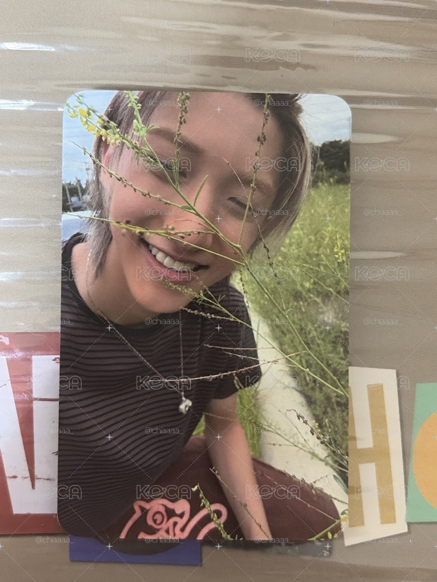 貼紙書 宇津