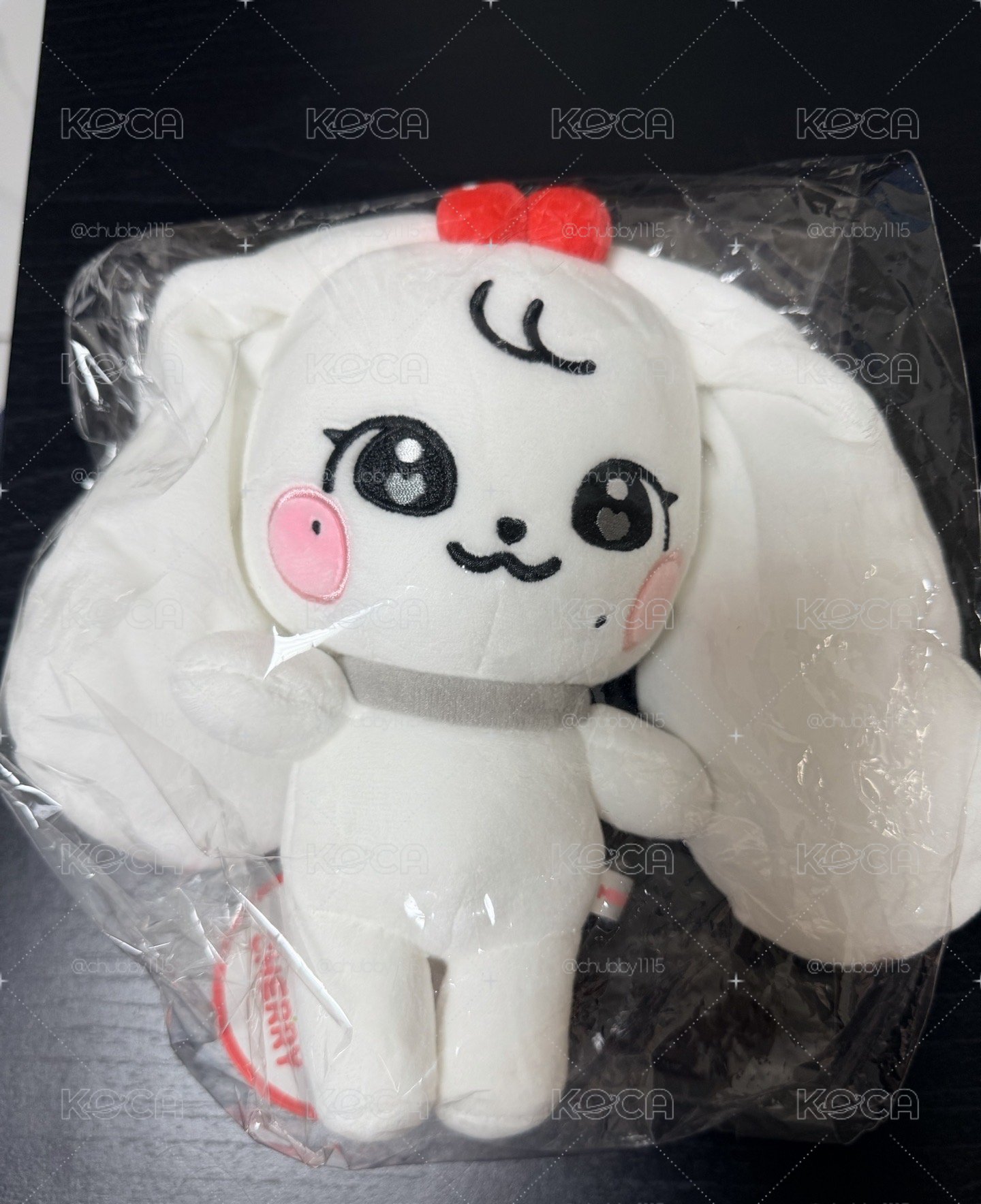 cherry 20cm娃娃 無小卡