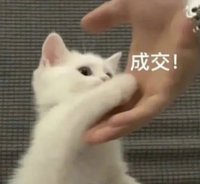 W.