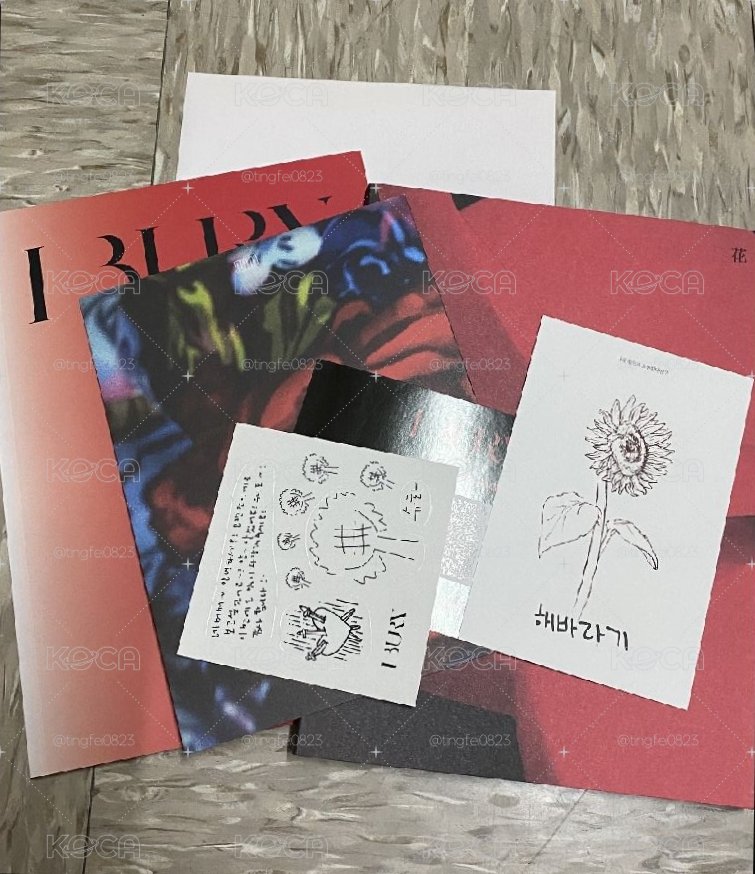 花版空專(僅缺小卡)