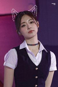 玉米鯊魚