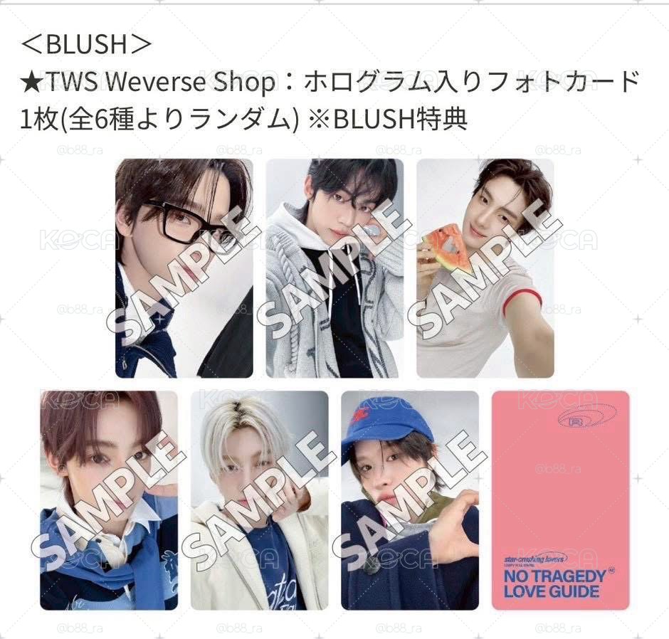 Wvs Japan blush版