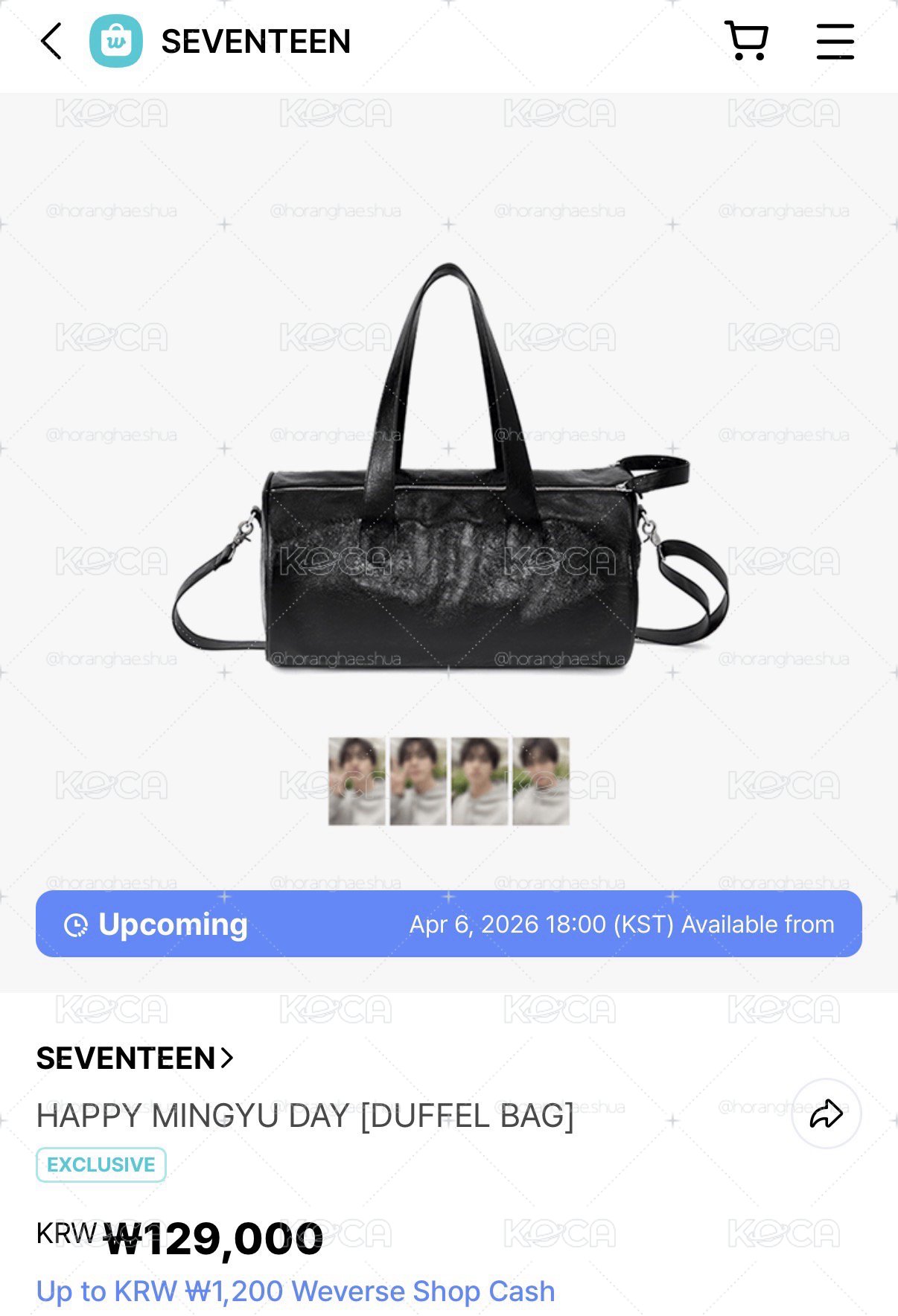 HAPPY MINGYU DAY [DUFFEL BAG]（已保留 勿下）