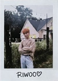 芝加哥 回憶錄 set 周邊卡 拍立得