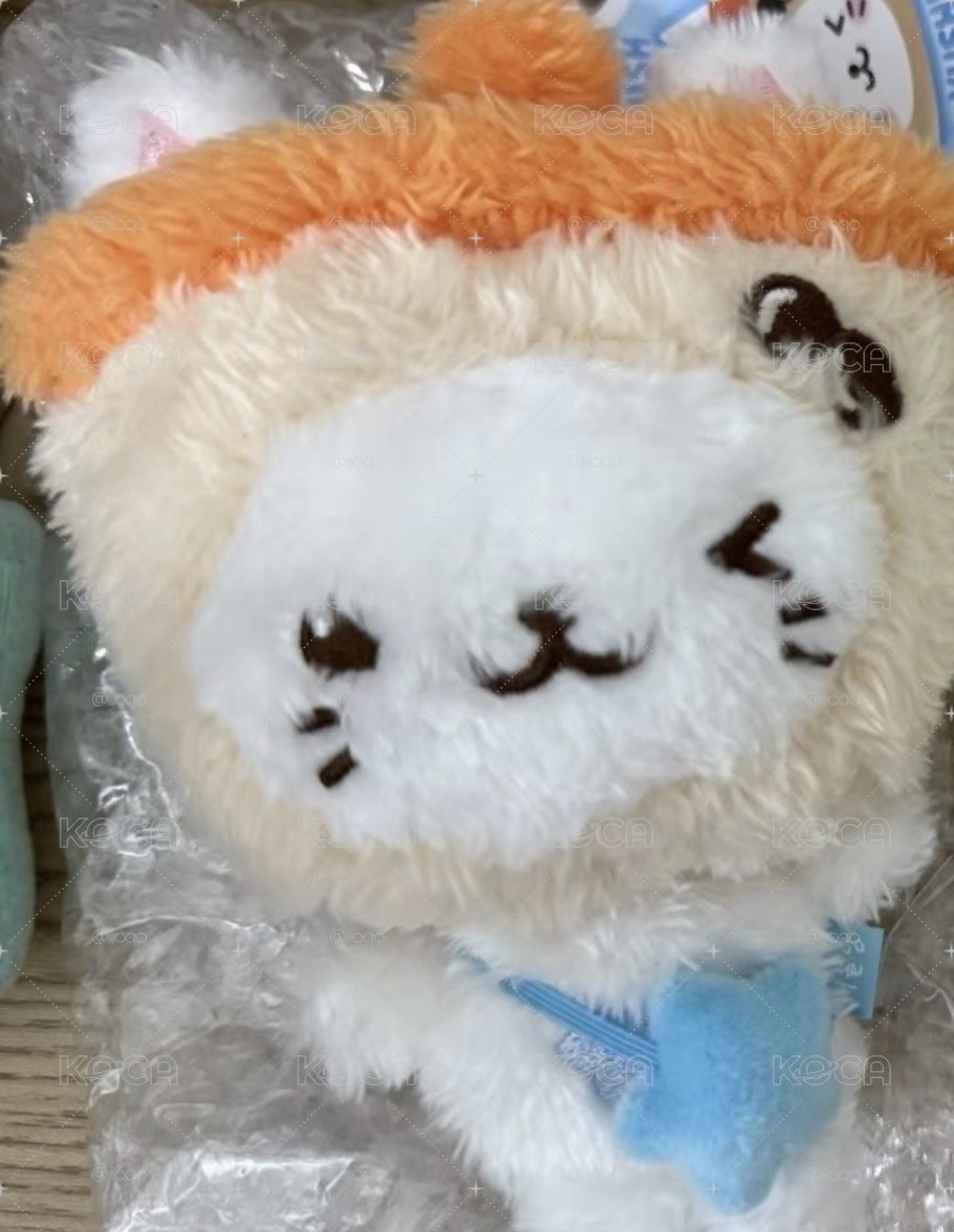 奶茶貓