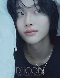 D社寫真 寫真集 a