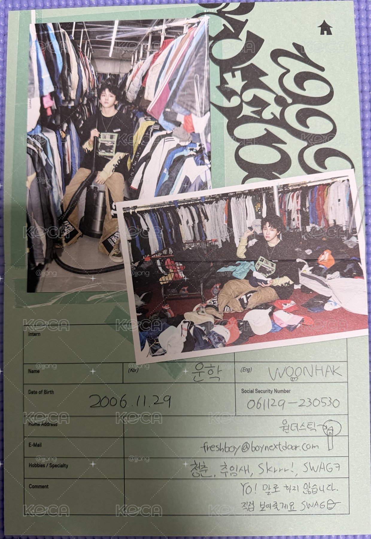 19.99專卡折頁介紹紙 雲鶴