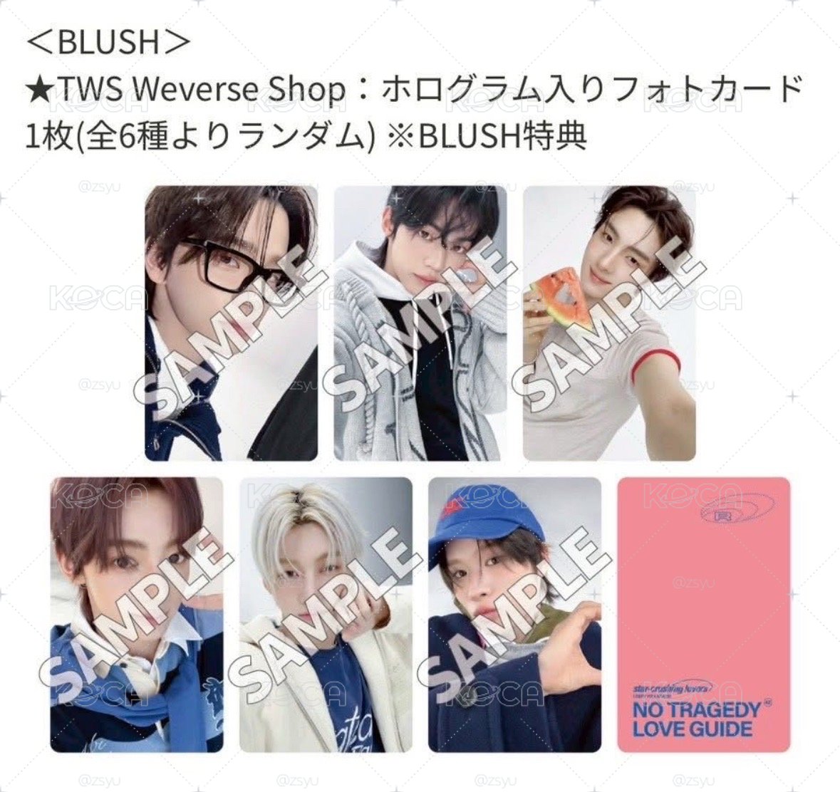 崔英宰 blush wvs版