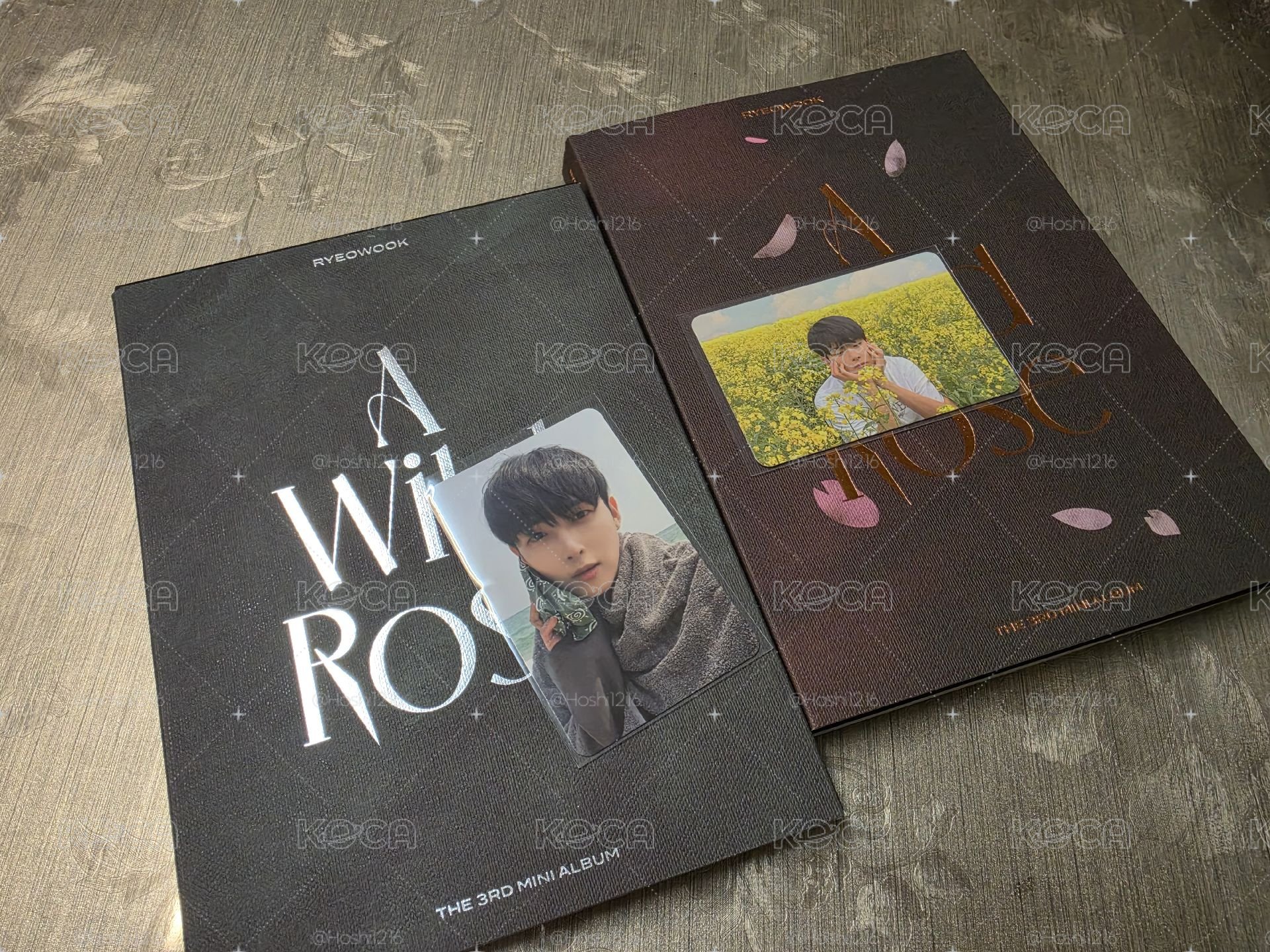 厲旭 solo 專輯(A wild rose)