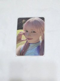 Lily 專卡