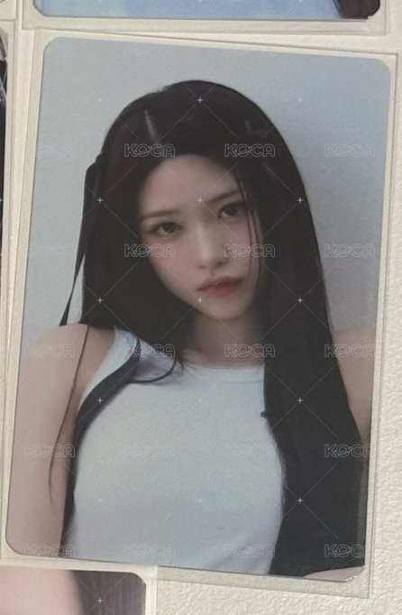 官拍2