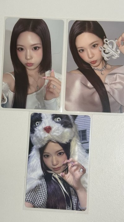 lip bomb專卡zena