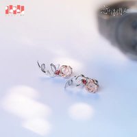 耳飾