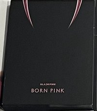 born pink空專（粉）