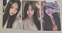 最左Hyein