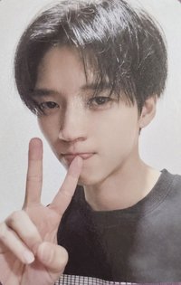 24 演唱會專 專輯卡 樂 ver