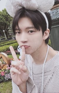 24 演唱會專 專輯卡 園 ver