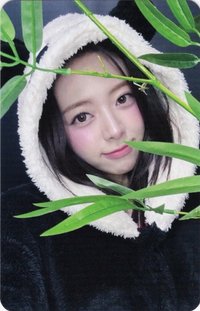 Ice Cream ms 1.0 幸運卡 熊貓