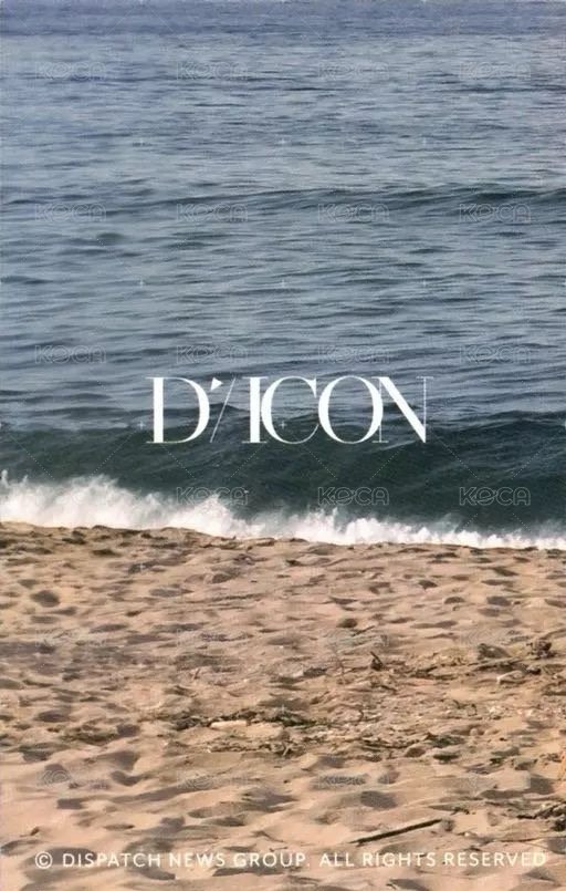 DICON D社 快閃店 隨機卡 官拍 背面