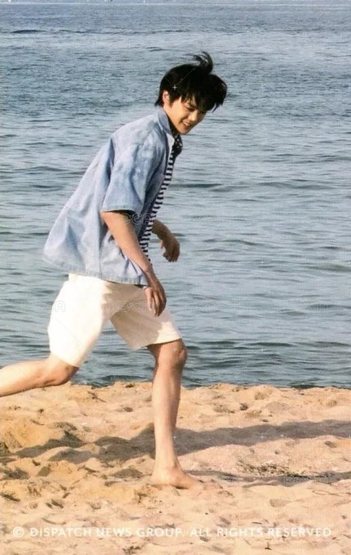 DICON D社 隨機卡 官拍 背面