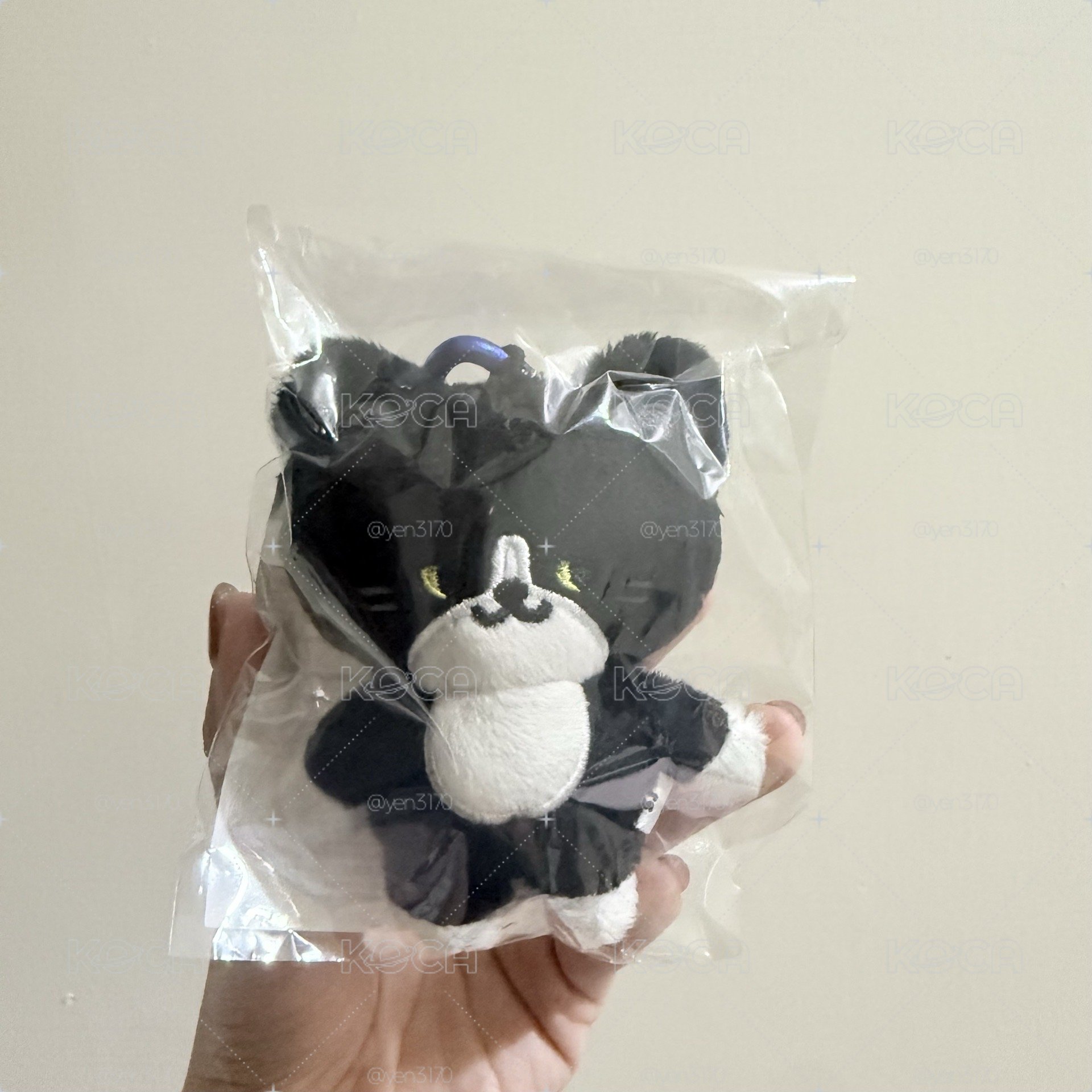 SS10 日周動物娃 coco貓 藝聲娃
