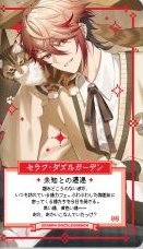 学園ゔぉるたくしょん 隨機卡 