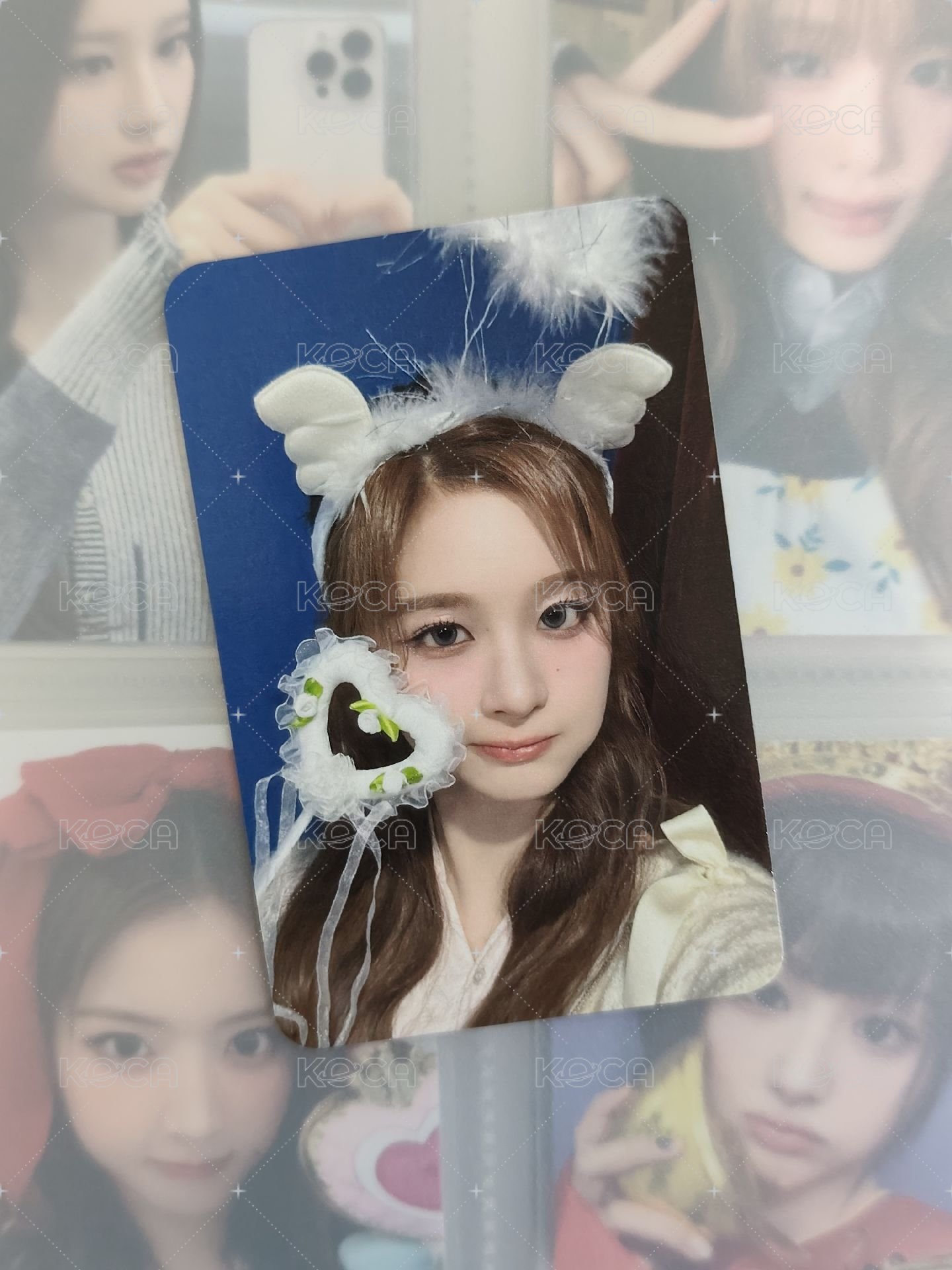 🐰天使薛