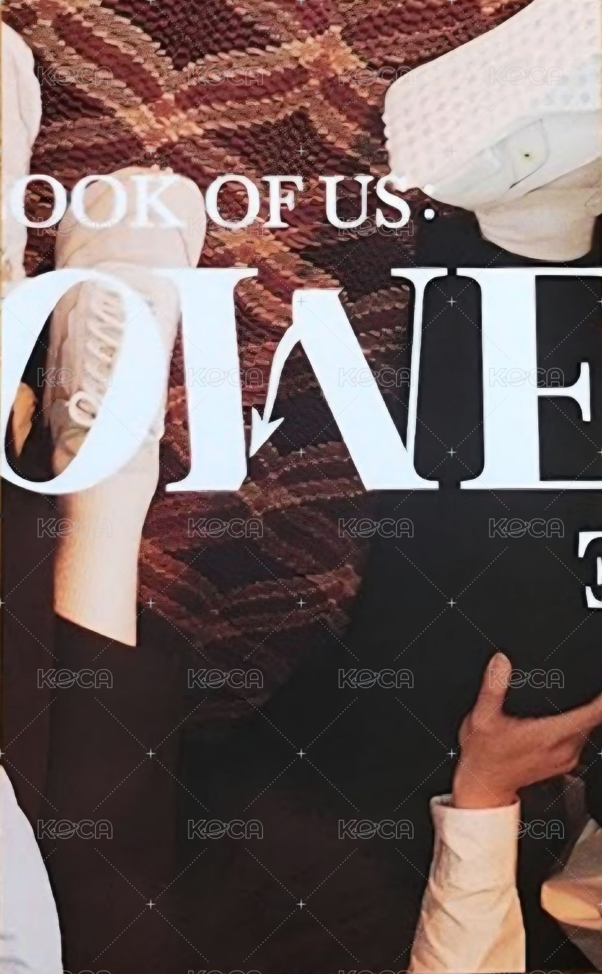 迷六 專輯卡  背面