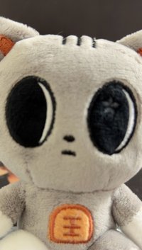 지지