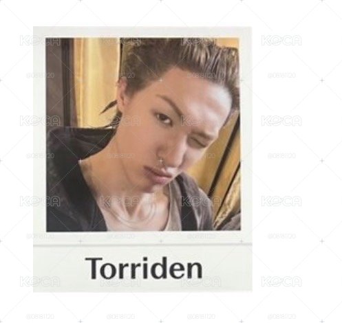 Torriden代言卡 馬丁