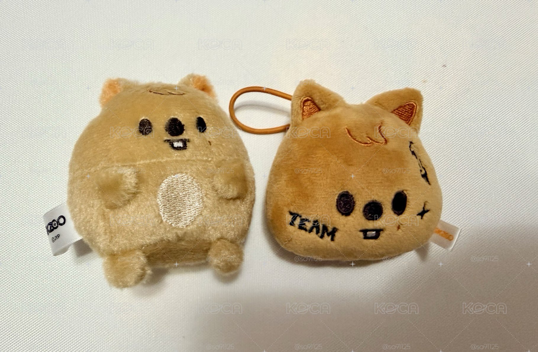 Han闊卡娃娃🐿️