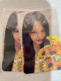 兩張二星瑞