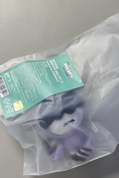 休寧凱 原皮哇有原袋 彩娃無原袋