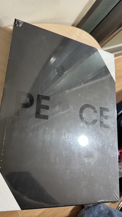 PEACEMINUSONE - IN THE MAKING OF PEACEMINUSONE