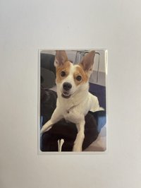 TWO RABBITS SPECIAL 專輯卡 