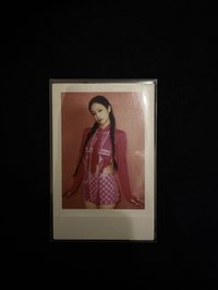 粉版妮