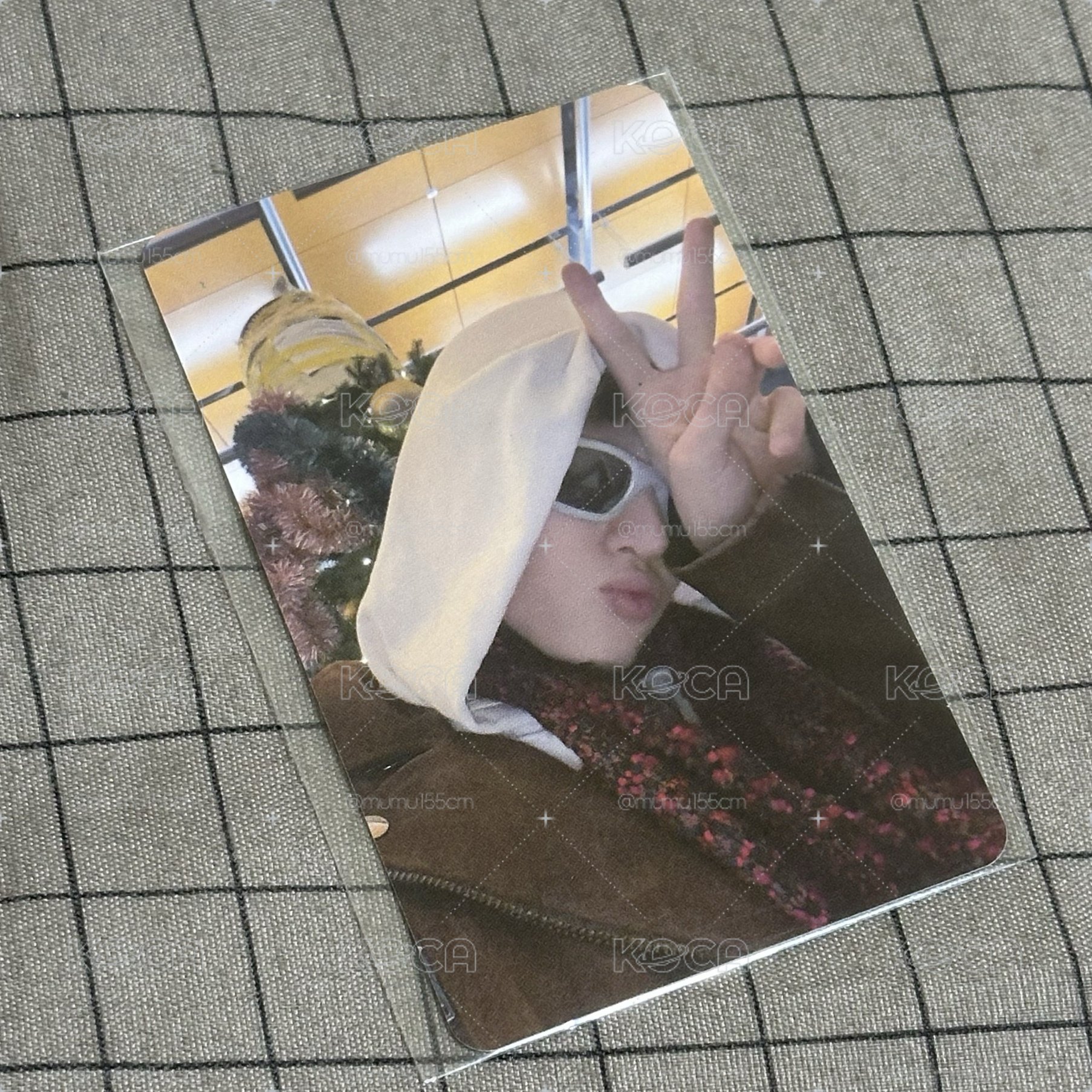 K4年末 馬丁🐕‍🦺
