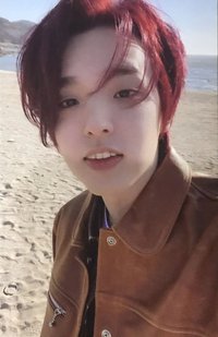 迷七 專輯卡 