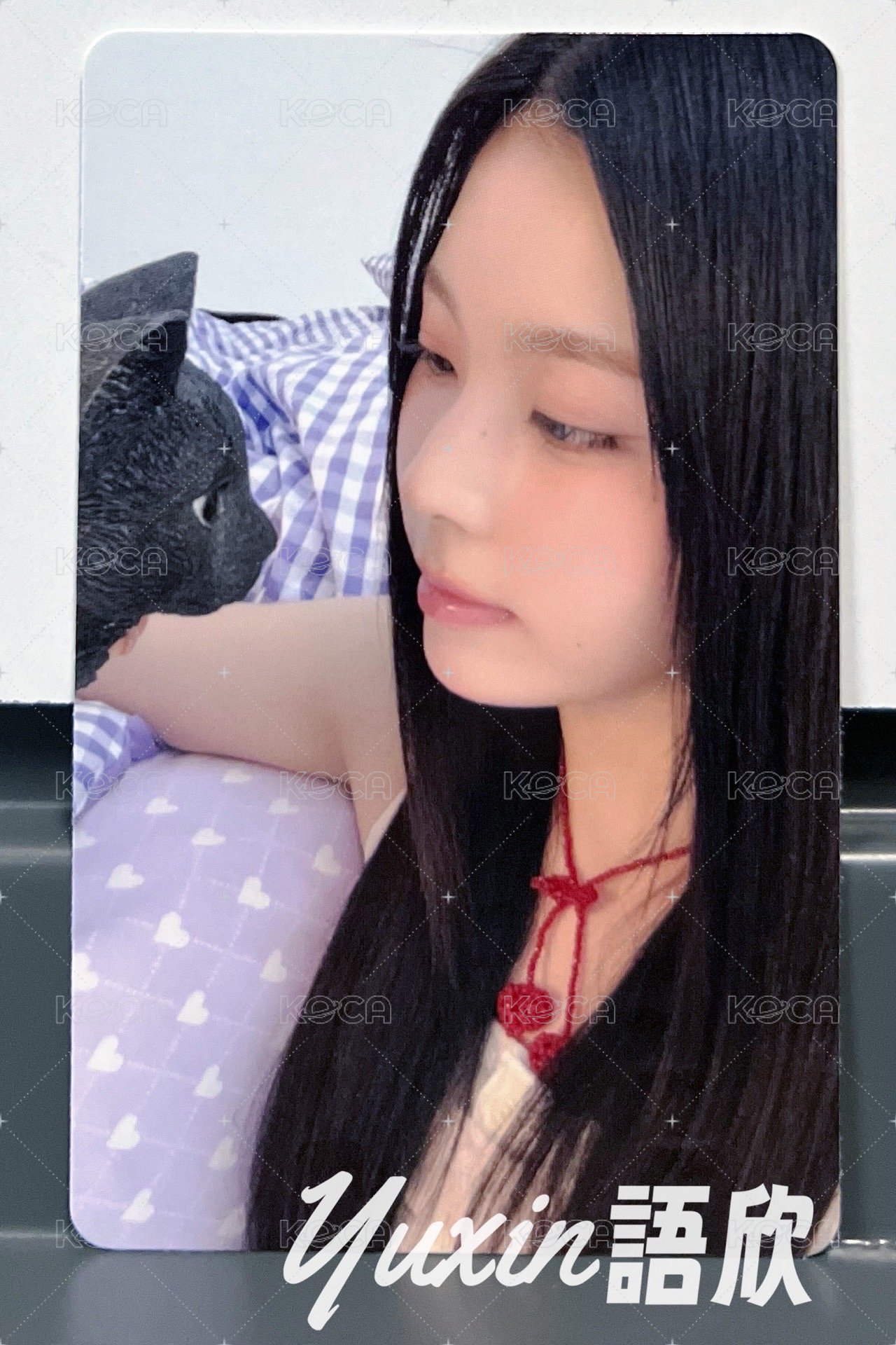圭珍