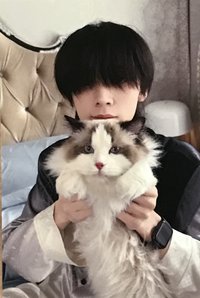 異次元卡牌 隨機卡 SR