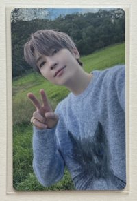 東京圓（需帶💎)