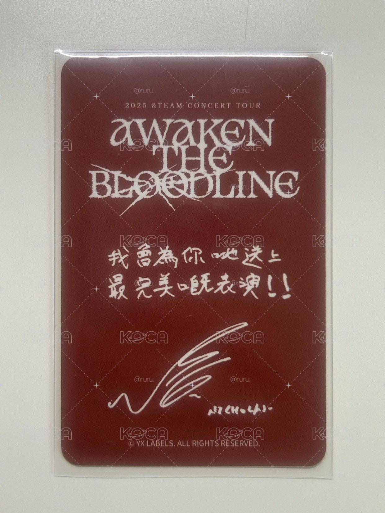 &team NICHOLAS ATB香港場粽卡