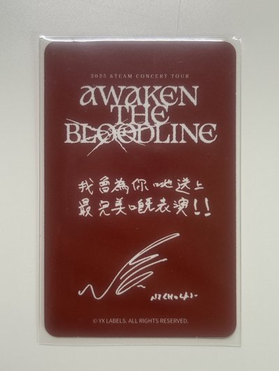 &team NICHOLAS ATB香港場粽卡