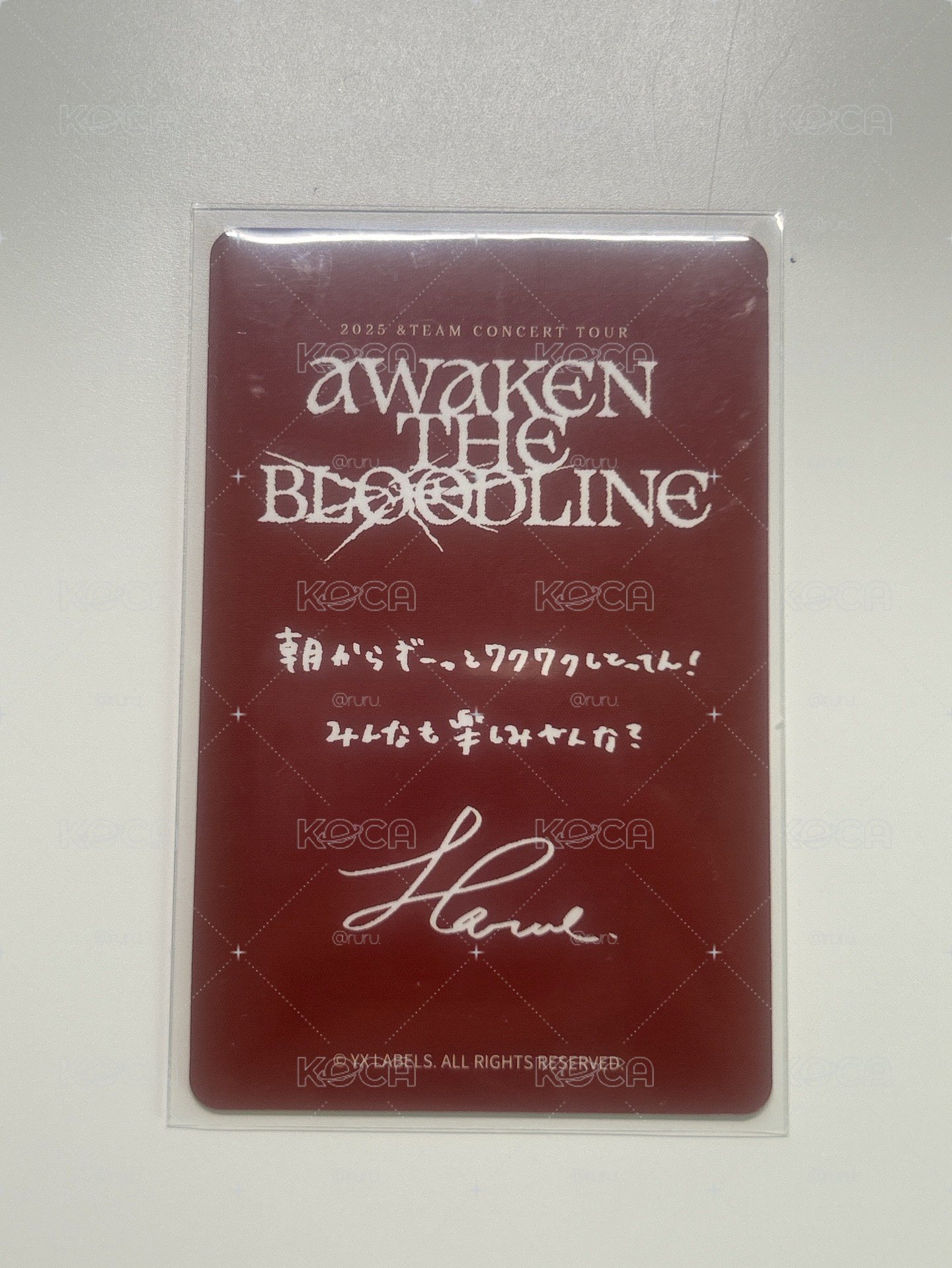 &team HARUA ATB兵庫場粽卡