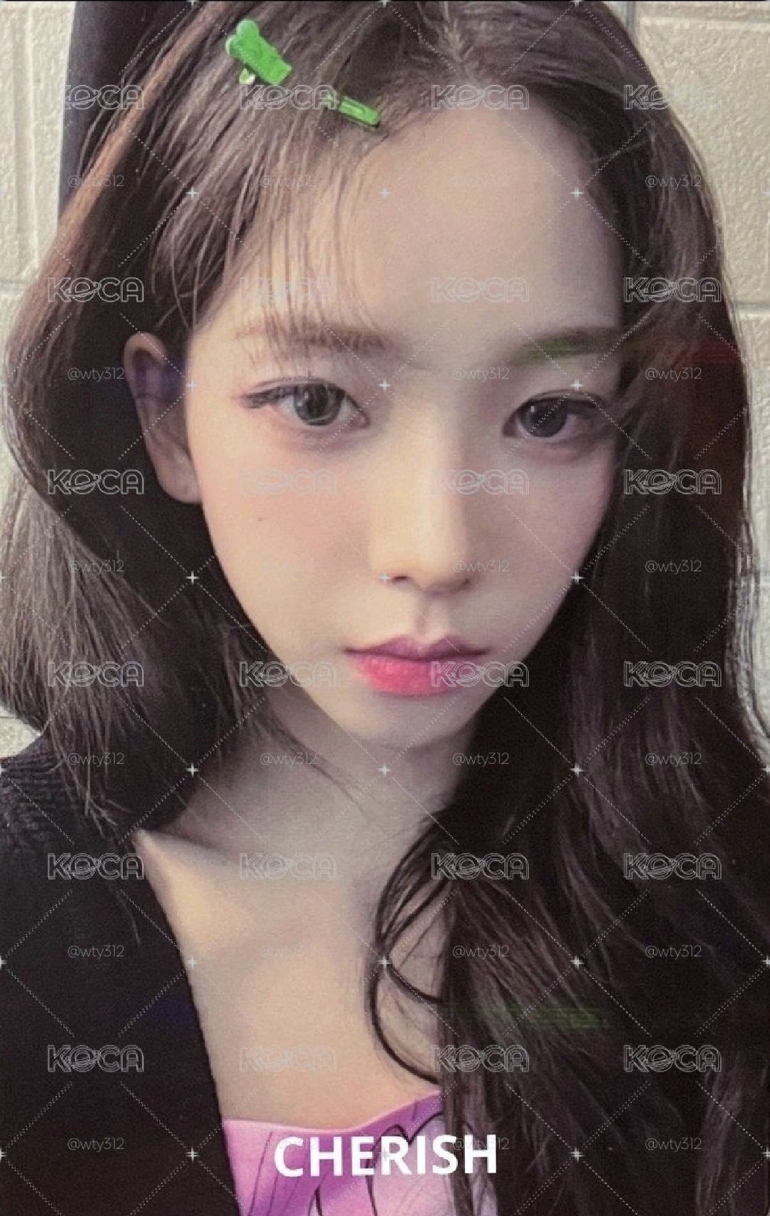ia 預售柚
