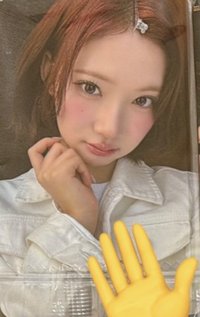 Focus k4 簽售卡 LA